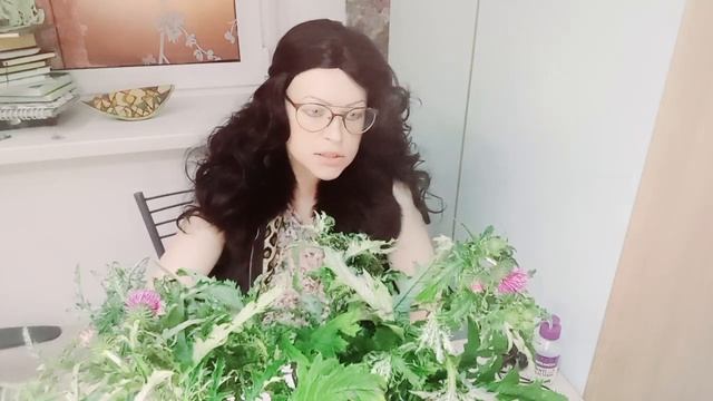 Чертополо́х курча́вый от лат. Cárduus crispus. #Чертополо́х #расторопша #ботаника