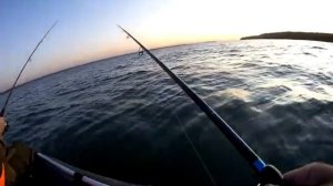 Ловля судака на мандулы. Наш спиннинг монстр посетил!!!