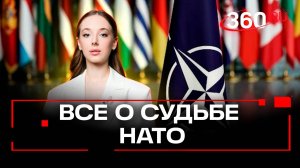 «Отношения США и Европы охладели, но это пока не конец НАТО» - политолог о судьбе альянса