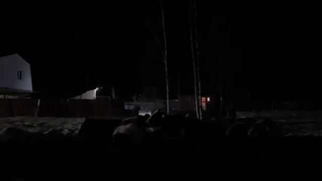 Мама уехала, моя управа на ферме. Занимаюсь переработкой молока. Ждем технику!