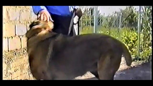 В гостях у Ислама и в Грузии смотреть онлайн