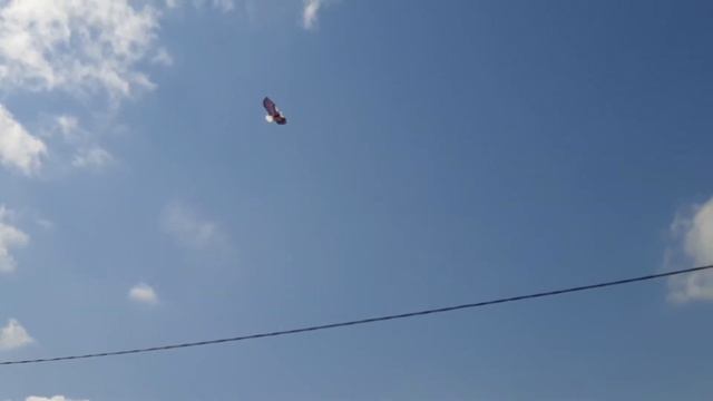 Летнее развлечение на природе