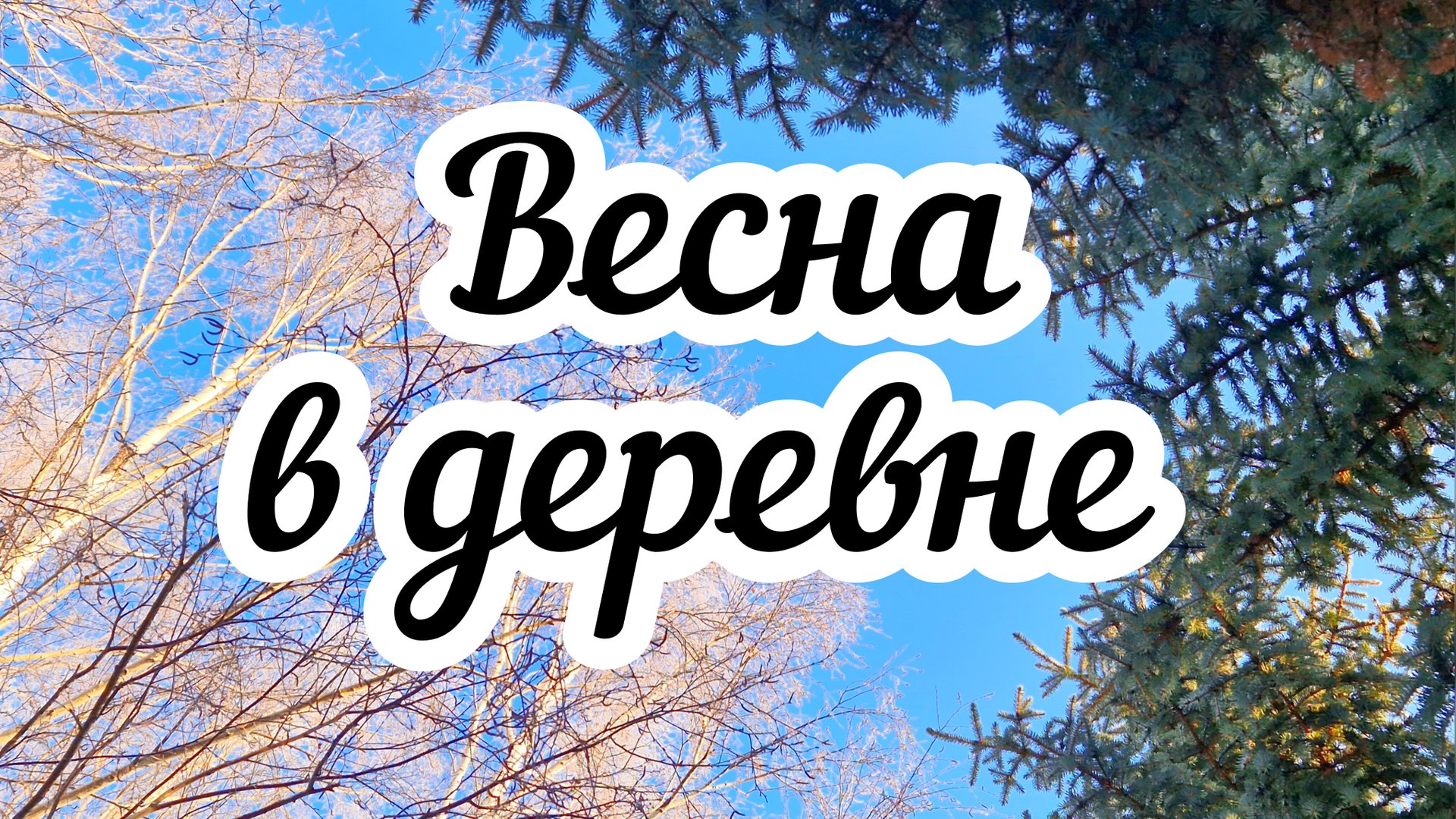 Весенний деревенский влог 🏠 Занимаюсь рассадой 🌱 смотреть онлайн