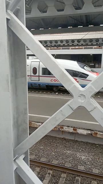 Поезд сапсан ЭВС1-016 #music #barsikmyr #рек #рек #рекомендации #жд #ржд #поезд #железнаядорога смотреть онлайн