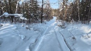 Нашли в лесу землянку