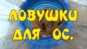 ЛОВУШКА ДЛЯ ОС.  БОРЕМСЯ С ОСАМИ НА ПАСЕКЕ