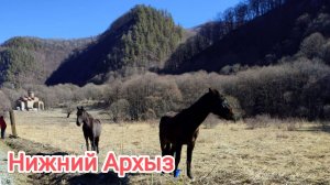 Нижний Архыз. Аланское городище.