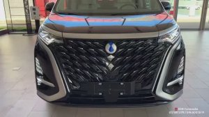 BYD DENZA D9 2025 обзор