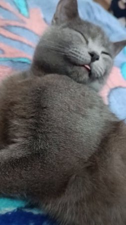 😍