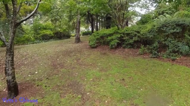 V6- Possibly Haunted? смотреть онлайн