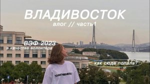 КАК я улетела во ВЛАДИВОСТОК: большой влог - работа волонтёром, горы, прогулки и новые знакомства