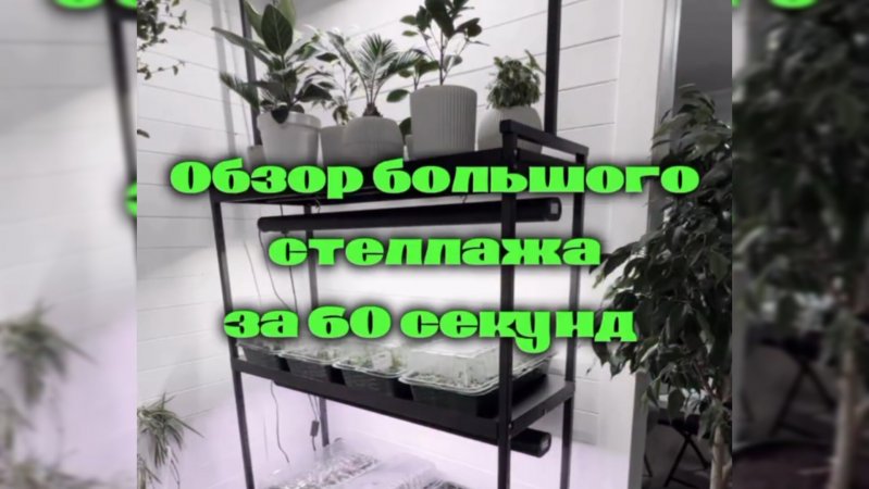 Обзор стеллажа за 60 секунд 🌿🌱