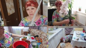 Хроника дня // всё по деревенски заработалась 🙋♀️// ландыши 🎶/