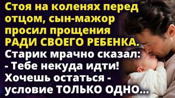 Стоя на коленях перед отцом, сын-мажор просил прощения ради своего ребенка Истории любви до слез