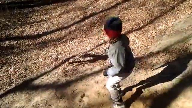 Silas og Mari-Elen svinger sig i skoven смотреть онлайн