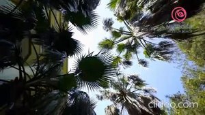 Miarosa Incekum Beach 5* (All) +79286536465