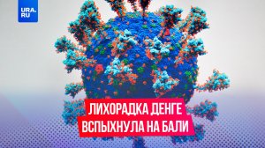 Лихорадка денге вспыхнула на Бали, россияне массово заразились опасной болезнью