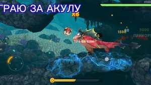 100я за акулу!