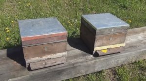 Создание и развитие отводка