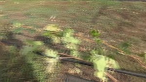 Двигаем Дарью