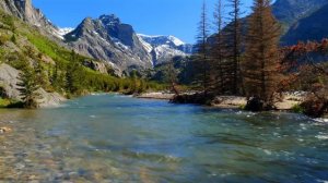 4K Спокойная горная река в глубинке Монтаны Звуки воды Белый шум