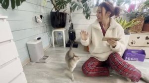 ОБЗОР АВТОМАТИЧЕСКОЙ КОРМУШКИ O Sitter / Тайная жизнь кошек