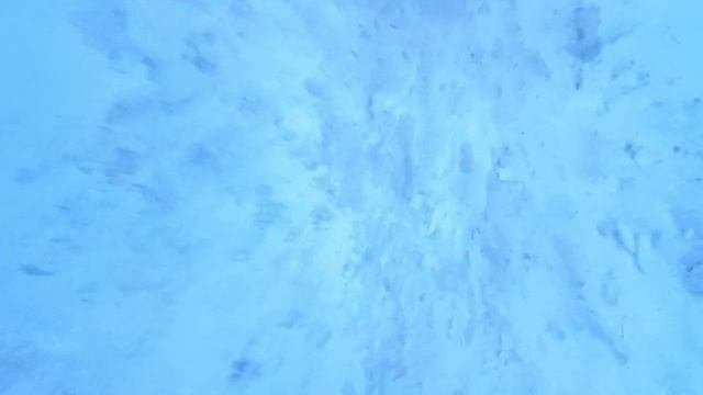 video5341566498647334983 1