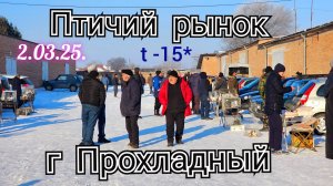 Голуби цены Птичий рынок г Прохладный