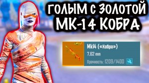 ГОЛЫМ с ЗОЛОТОЙ МК-14 КОБРА до ФУЛЛ 6 | 7 КАРТА МЕТРО Рояль | Metro PUBG Mobile