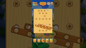 Screw Puzzle (9-11 level)