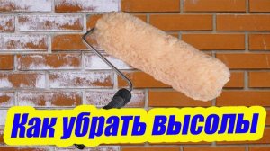 КАК УБРАТЬ ВЫСОЛЫ С ФАСАДА ДОМА