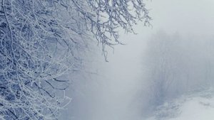 СИЛЬНАЯ МЕТЕЛЬ и ПУРГА. Успокаивающий ШУМ ВЕТРА, ЗВУКИ ВЬЮГИ