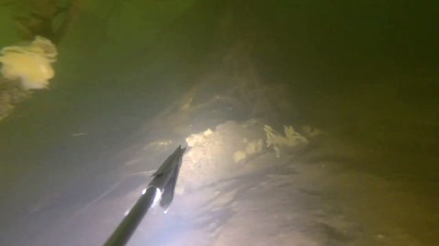 Подводная охота - Судаки в корягах смотреть онлайн