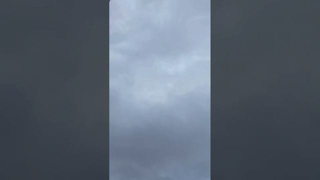 24 ноября 2024года