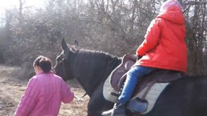 КАТАЕМСЯ НА ЛОШАДКАХ!!! Ride Horse In The Beautiful Forest