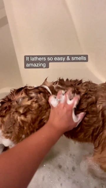 Feature Friday - Who needs a spa day when you have the perfect product at home! смотреть онлайн