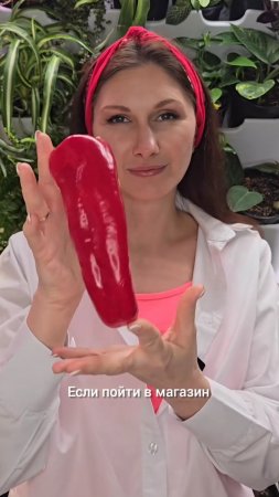 Сеем семена перчика из магазина 🌶️