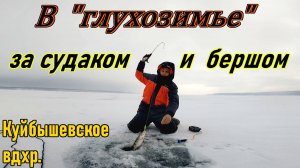 СУДАК И БЕРШ/РЫБАЛКА НА ВОЛГЕ/КУЙБЫШЕВСКОЕ ВДХР./ГЛУХОЗИМЬЕ/ЛОВЛЯ СУДАКА И БЕРША НА ТЮЛЬКУ/ЗИМА 2025