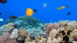 Послушайте эту музыку и вам станет легче Нежная музыка,успокаивает нервную систему и радует душу
