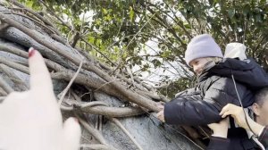 Сочи парк с детьми. Любимые аттракционы. День с семьёй.