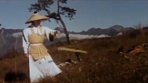 Мастер Шаолиня и ребенок (боевик кунг фу)