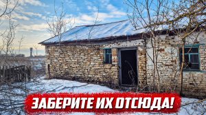 Был в шоке зайдя в дом! | Орловская обл, Ливенский р/н д.Хмелевая