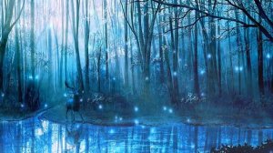 Сказочный лес Футаж для видео CSLDdo3PZ9M