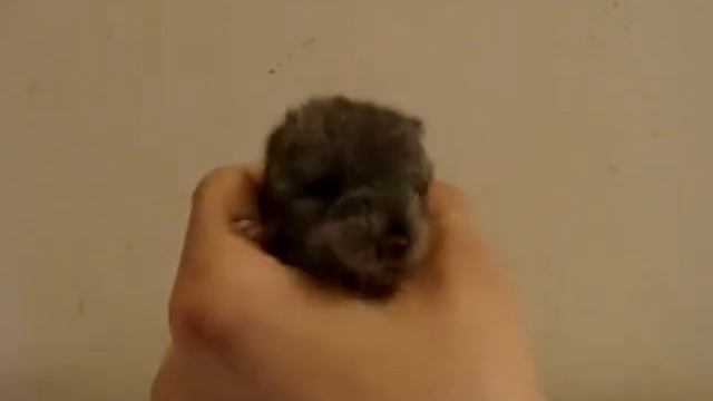 Кирюша смотреть онлайн