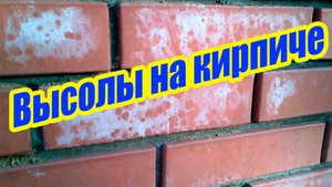 ПРИЧИНЫ ПОЯВЛЕНИЯ ВЫСОЛОВ НА КИРПИЧЕ