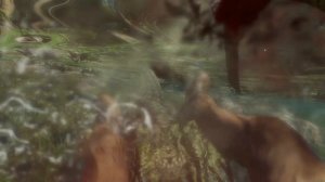 Far Cry 3 Wild Animals Attack