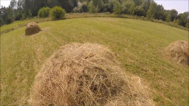 Хроники сенокоса. Часть 5. Завершение. смотреть онлайн