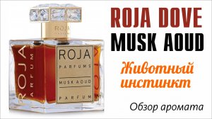 ROJA DOVE - MUSK AOUD vs AOUD - ОБЗОР АРОМАТА // Fragrance Review