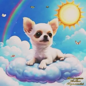 Приключения Чихуашки Лили