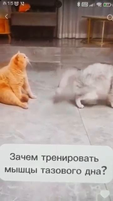 ❗️Head Shot❗️#shorts #чтослучилосьзадень #приколы смотреть онлайн